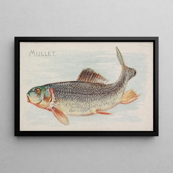 Mulet - Allen Ginter — framed artwork on a wall