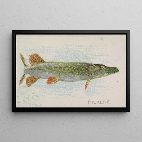 Brochet Painting - Allen Ginter — framed artwork on a wall