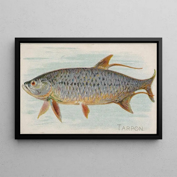 Allen Ginter - Tarpon.webp