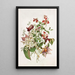 Clématite Painting - Alois Lunzer — framed artwork on a wall