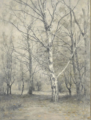 Alphonse Stengelin - Bos met berkebomen.webp