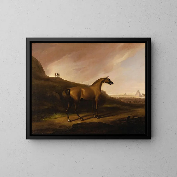 The Napoleon's Horse - Alvan Fisher — framed artwork on a wall