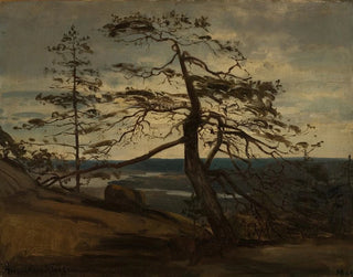 den Pin van de fjorden van Setesdal - Amaldus Nielsen — weergave van het kunstwerk