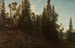 Vingersheia Telemark - Amaldus Nielsen — weergave van het kunstwerk