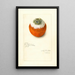 Citrus sinensis - Amanda Almira Newton — ingelijst kunstwerk aan de muur