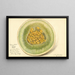 Cucumis melo Honey Dew - Amanda Almira Newton — ingelijst kunstwerk aan de muur