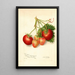 Reproductie van het schilderij Fragaria Brackett - Amanda Almira Newton