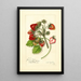 Reproductie van het schilderij Fragaria James Todd - Amanda Almira Newton