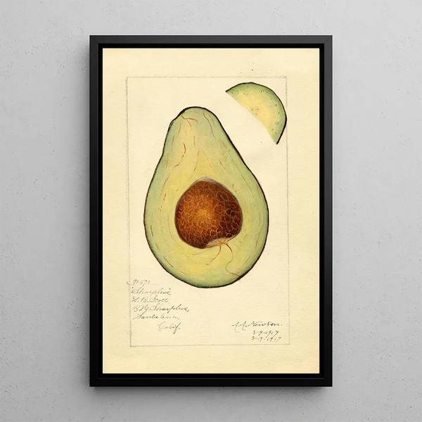 Reproductie van het schilderij Persea Sharpless - Amanda Almira Newton
