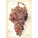 Vitis Angelina - Amanda Almira Newton — weergave van het kunstwerk