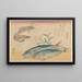 Garnalen Kuruma Ebi en makreel paard - Andō Hiroshige — ingelijst kunstwerk aan de muur