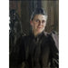 Fanny Thiel née Stiebel - Anders Zorn — weergave van het kunstwerk
