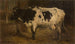 Koe - André Plumot — weergave van het kunstwerk