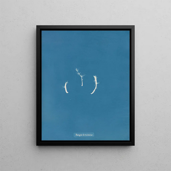 Anna Atkins - Bangia laminariae.webp