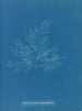 Bonnemaisonia asparagoides - Anna Atkins | Schilderij — weergave van het kunstwerk