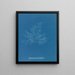 Bonnemaisonia asparagoides - Anna Atkins | Schilderij — ingelijst kunstwerk aan de muur