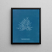 Roze van Callithamnion - Anna Atkins — ingelijst kunstwerk aan de muur