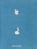 Calothrix cresswelliae - Anna Atkins — weergave van het kunstwerk