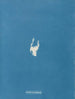 Calothrix distortiona - Anna Atkins — weergave van het kunstwerk