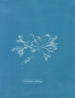 keramisch schilderij met cilië - Anna Atkins — weergave van het kunstwerk