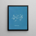 keramisch schilderij met cilië - Anna Atkins — ingelijst kunstwerk aan de muur