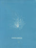 Transparant keramisch schilderij - Anna Atkins — weergave van het kunstwerk