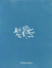Chondrus brodii - Anna Atkins — weergave van het kunstwerk
