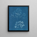 van Chondrus membranifolius - Anna Atkins | Schilderij — ingelijst kunstwerk aan de muur