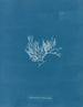 Chylocladia articulé - Anna Atkins — weergave van het kunstwerk