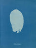 Bourse codique - Anna Atkins — weergave van het kunstwerk