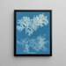 Comparer mince - Anna Atkins — ingelijst kunstwerk aan de muur