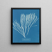 Couverts multifida - Anna Atkins — ingelijst kunstwerk aan de muur