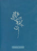 Cystoseira ericoides - Anna Atkins — weergave van het kunstwerk