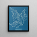Cystoseira granulata - Anna Atkins — ingelijst kunstwerk aan de muur