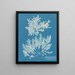 Delesseria sinuosa marge ciliée a du fruit - Anna Atkins — ingelijst kunstwerk aan de muur
