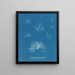 Delesseria hypoglossum in de vruchten - Anna Atkins — ingelijst kunstwerk aan de muur