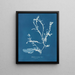 Delesseria sanguinea en fruit - Anna Atkins — ingelijst kunstwerk aan de muur