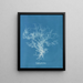 Dictyota dichotoma - Anna Atkins — ingelijst kunstwerk aan de muur