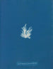 Ectocarpus fasciculatus - Anna Atkins — weergave van het kunstwerk