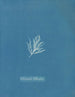 Ectocarpus littoralis - Anna Atkins — weergave van het kunstwerk