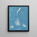 Enteromorpha compressa - Anna Atkins — ingelijst kunstwerk aan de muur