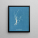 Enteromorpha compressa - Anna Atkins — ingelijst kunstwerk aan de muur