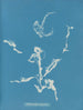 Enteromorpha ramulosa - Anna Atkins — weergave van het kunstwerk