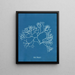 Fucus Machaii - Anna Atkins — ingelijst kunstwerk aan de muur