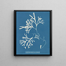 Fucus vesiculosus var. linéaire - Anna Atkins — ingelijst kunstwerk aan de muur