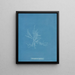 Gloiosiphonia capillaris - Anna Atkins — ingelijst kunstwerk aan de muur