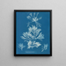 Laurencia pinnatifida - Anna Atkins — ingelijst kunstwerk aan de muur