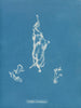 Lyngbya Carmichaelii - Anna Atkins — weergave van het kunstwerk