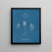 Polysiphonia fructiculosa - Anna Atkins — ingelijst kunstwerk aan de muur