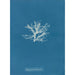 Rhodomela pinastroides - Anna Atkins — weergave van het kunstwerk